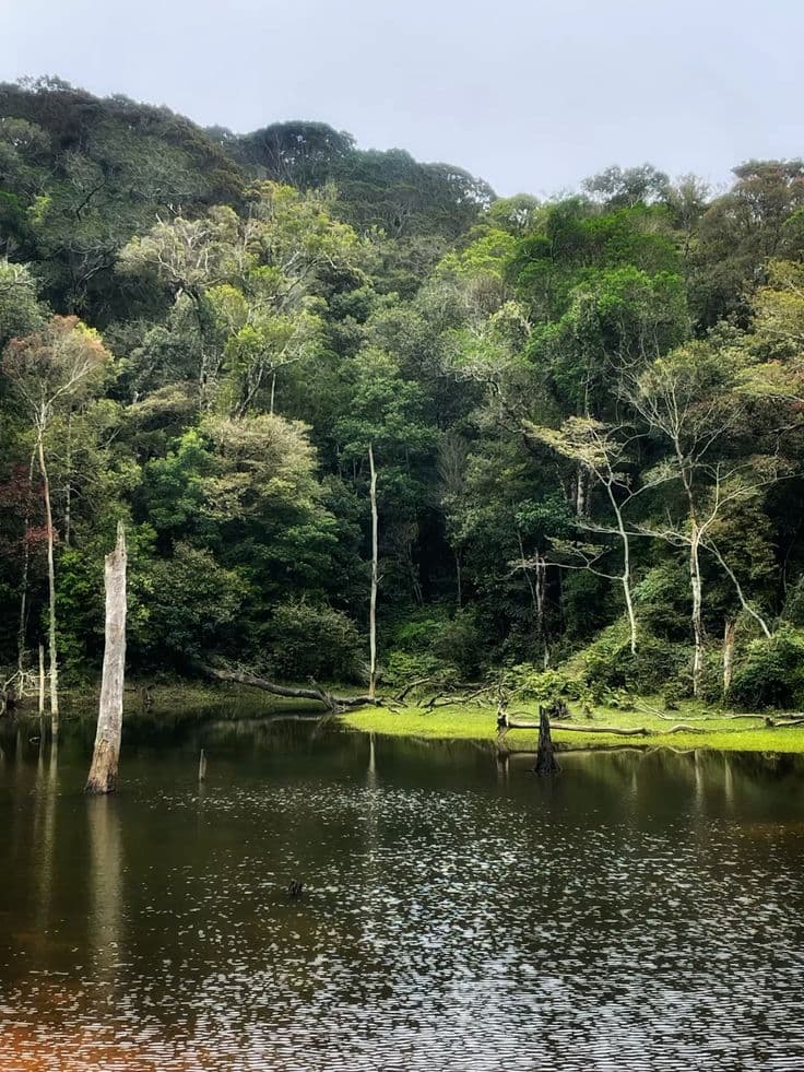 Kon Ka Kinh National Park